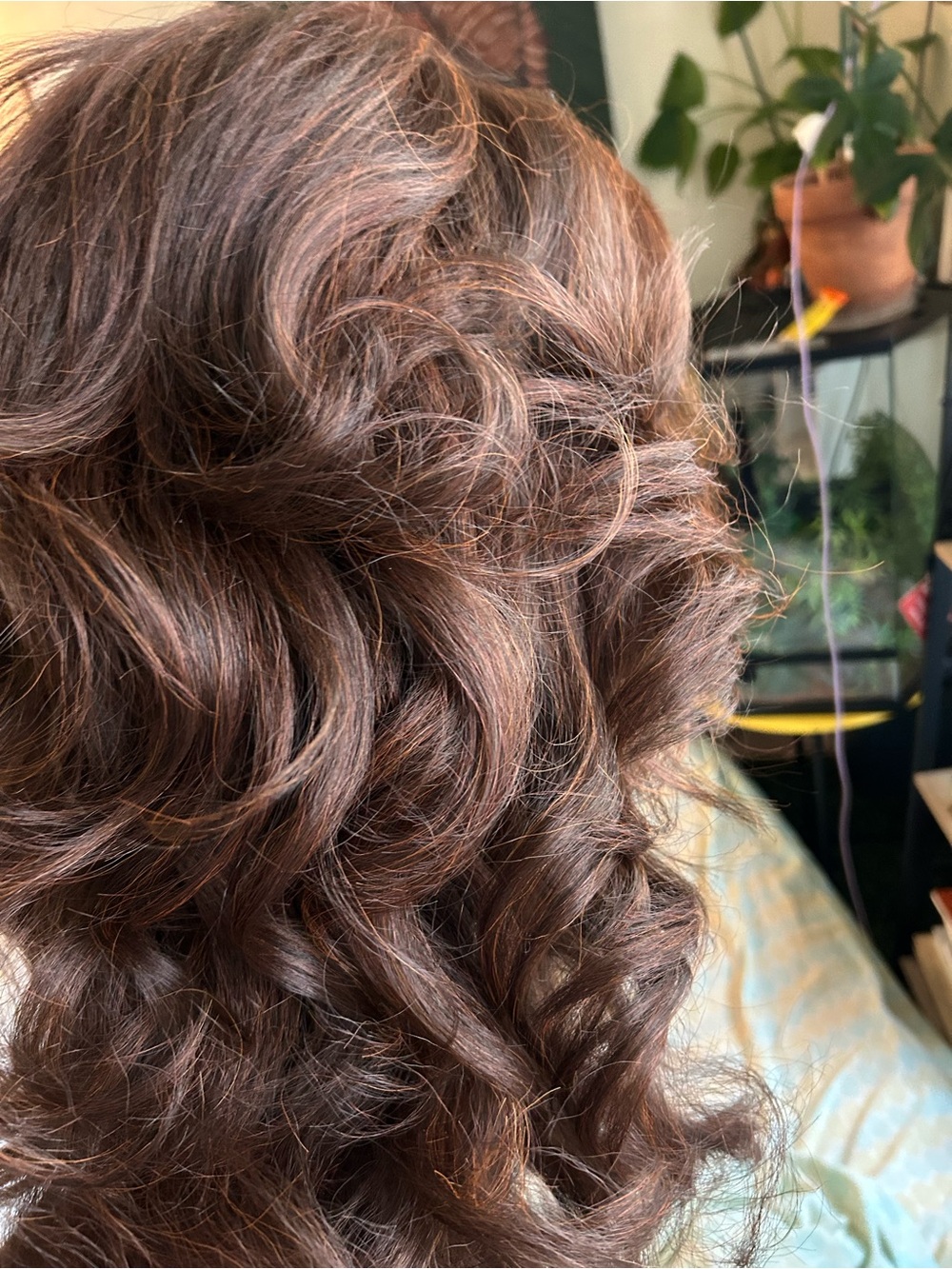 Long Wavy Brown Human Hair Wig - Rich Chocolate Tone - Picture 3 of 7
